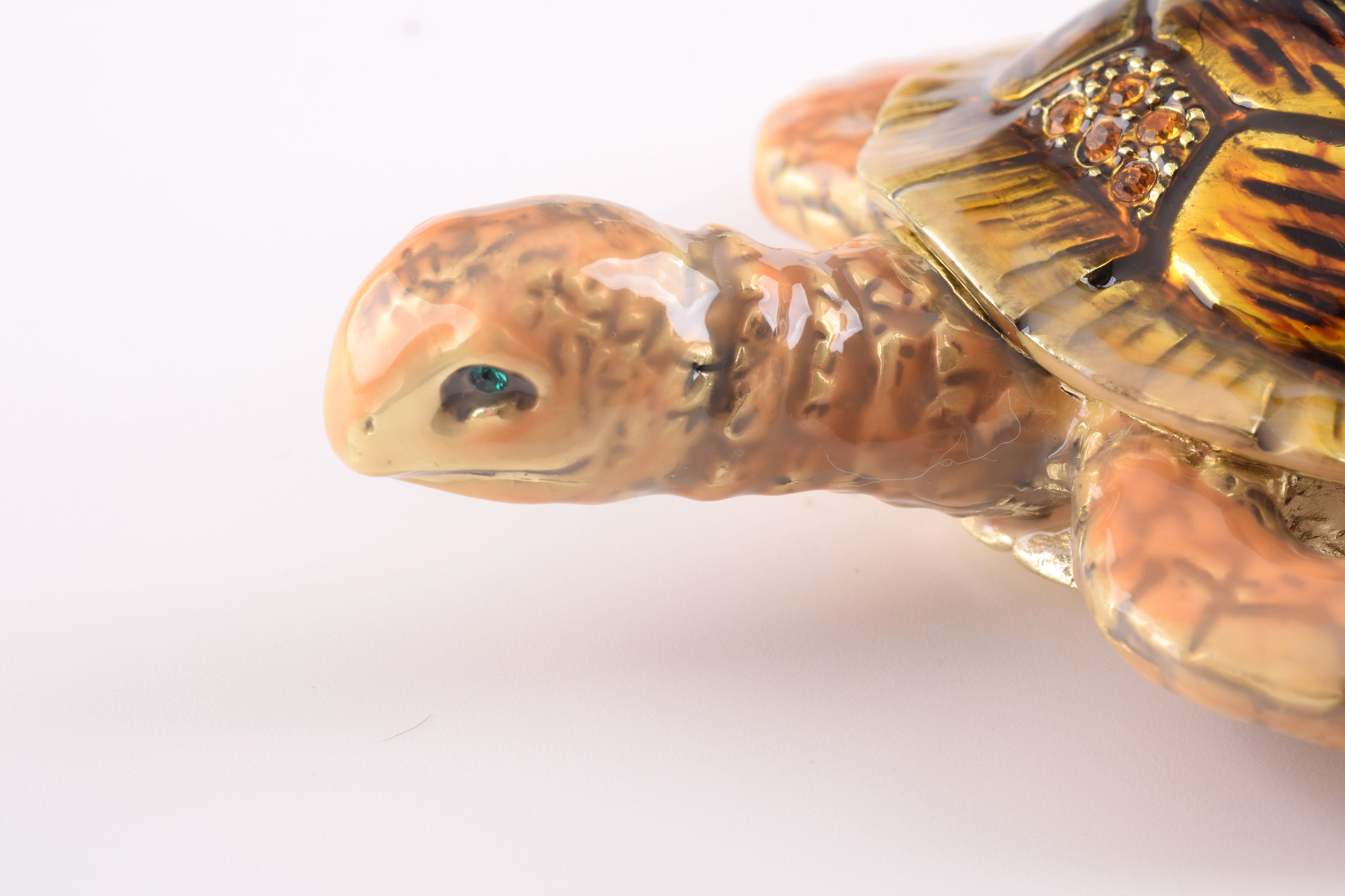 Brown Sea Turtle-2