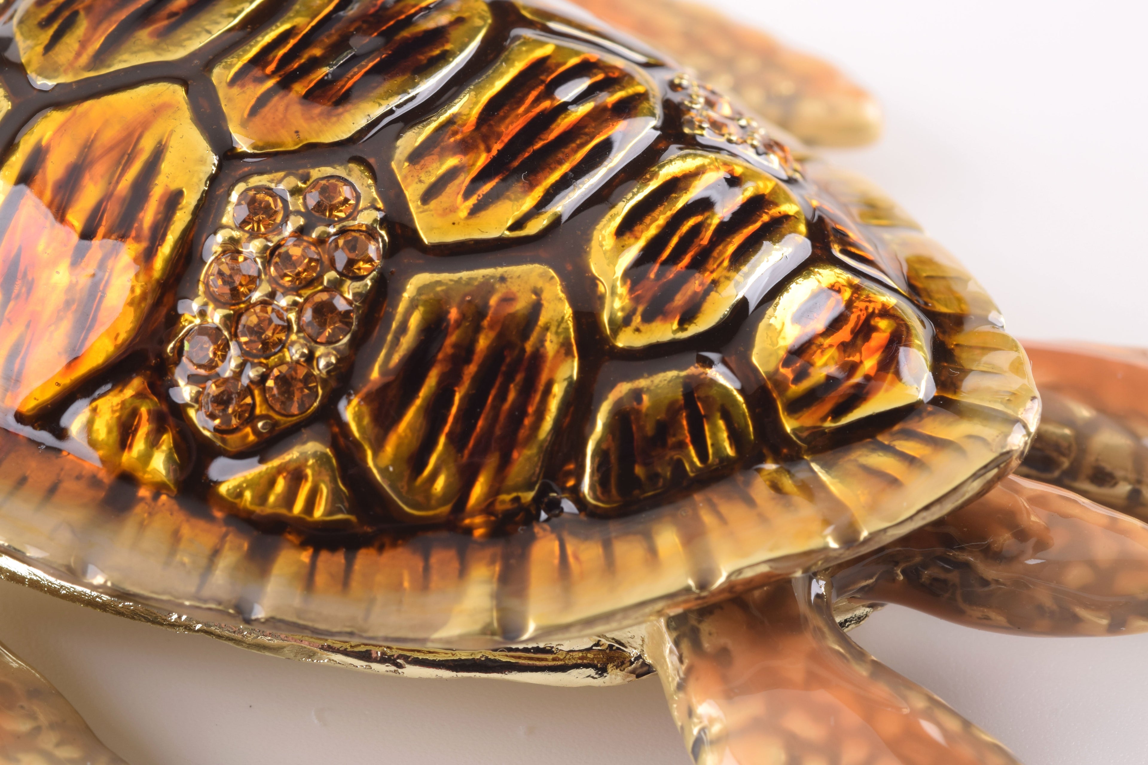 Brown Sea Turtle-3