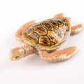 Brown Sea Turtle-0