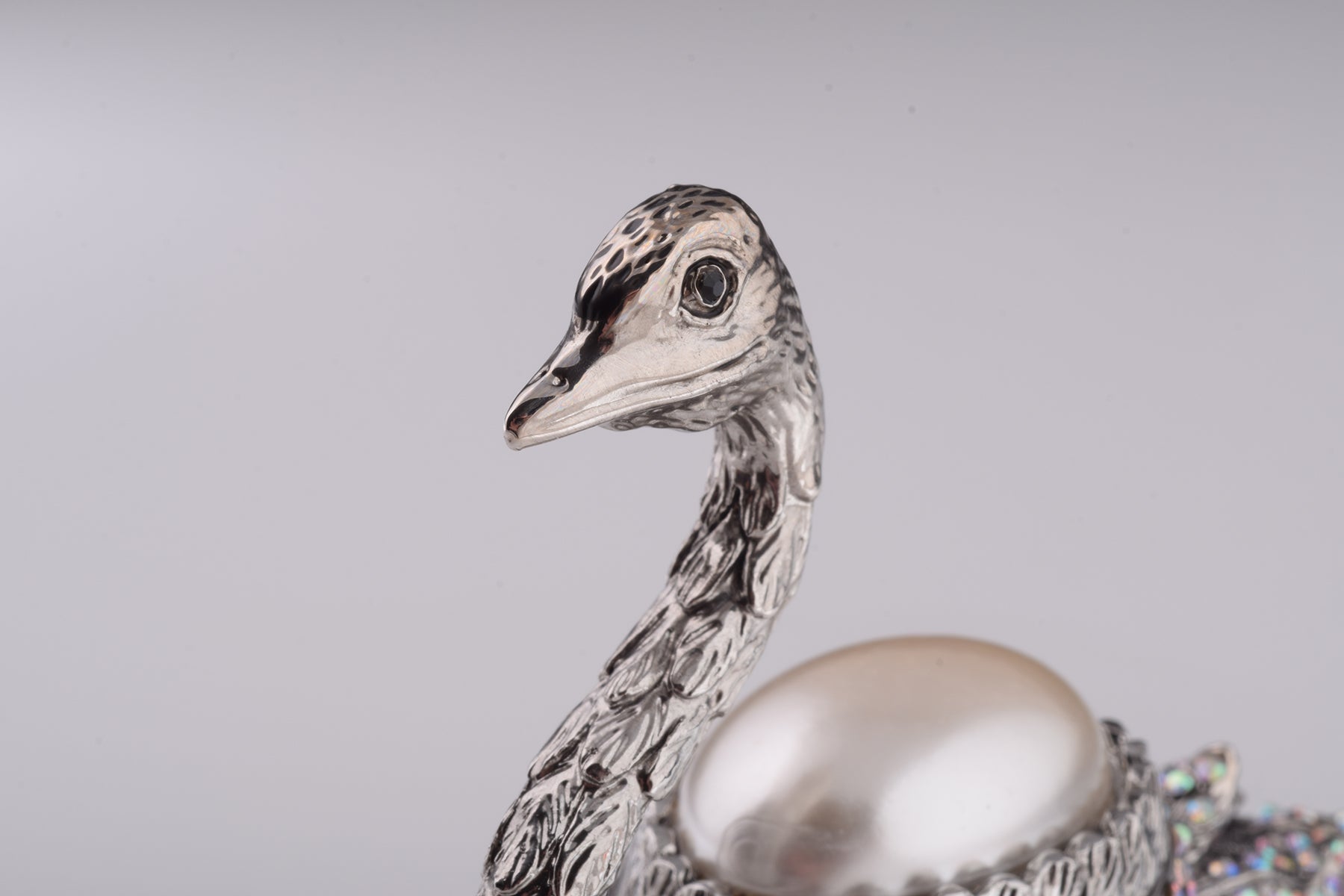 Silver Ostrich-2